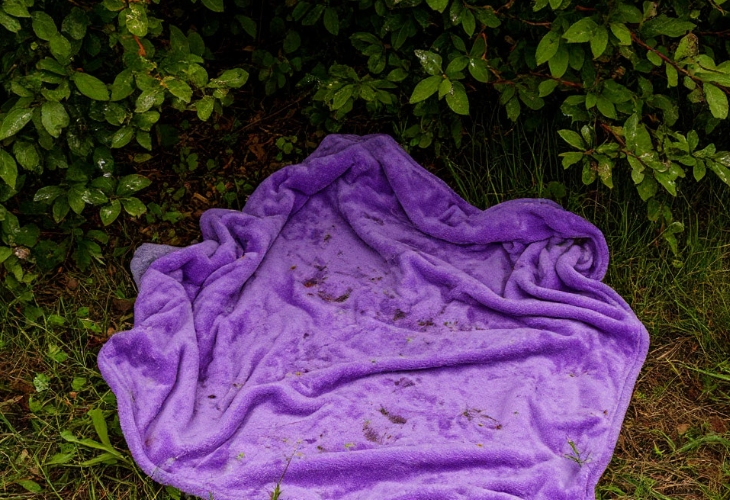    Сгенерировано ИИ "Шедеврум"