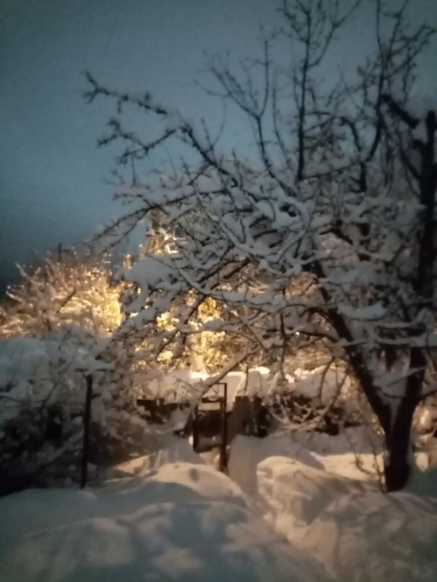 Фото автора 