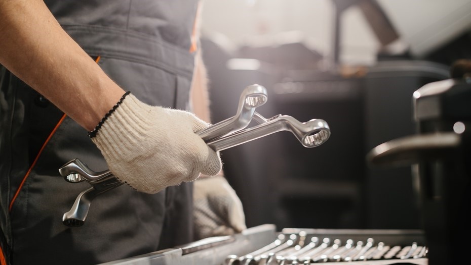    Автор фото: Dmytro Sheremeta/shutterstock.com