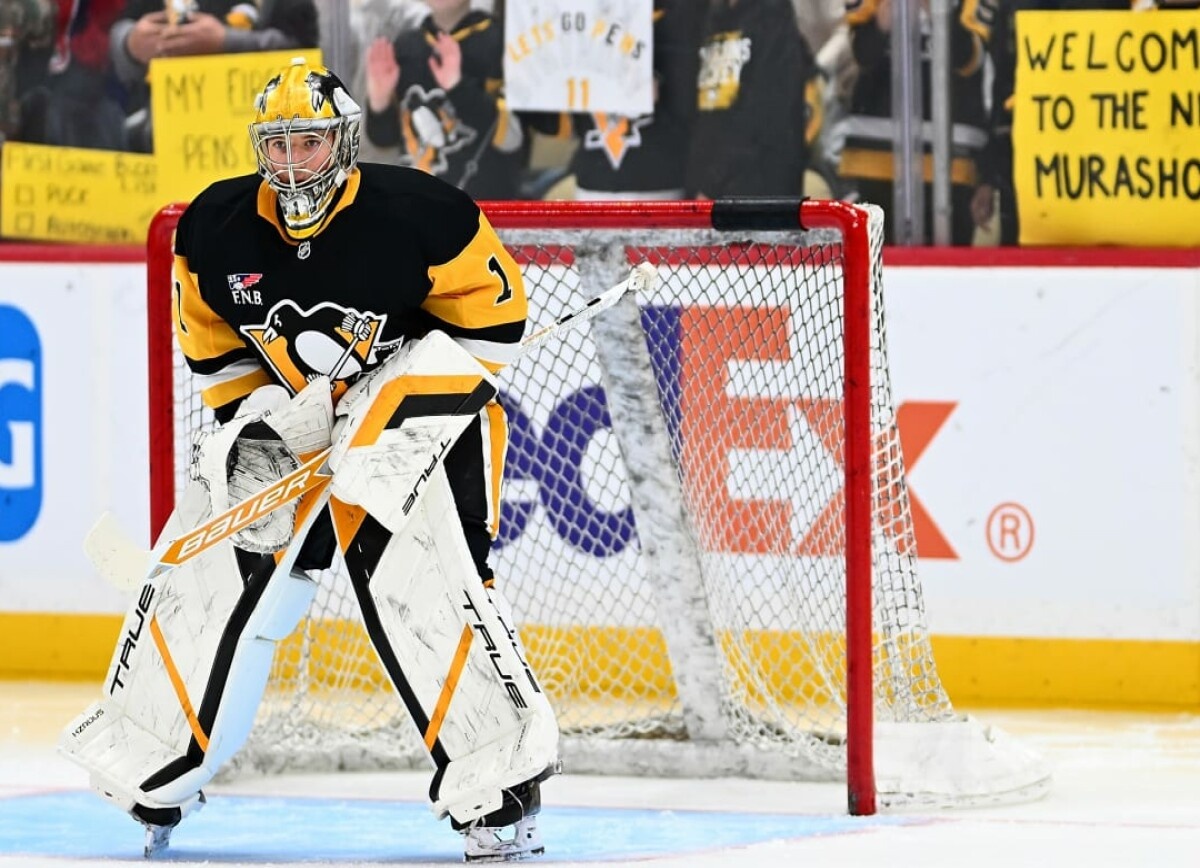     Pittsburgh Post-Gazette: Мурашов — вратарь, который читает «Идиота» и знает формулы Эйнштейна