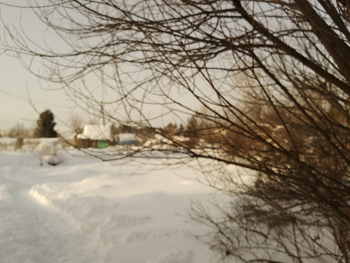 замерзший пруд