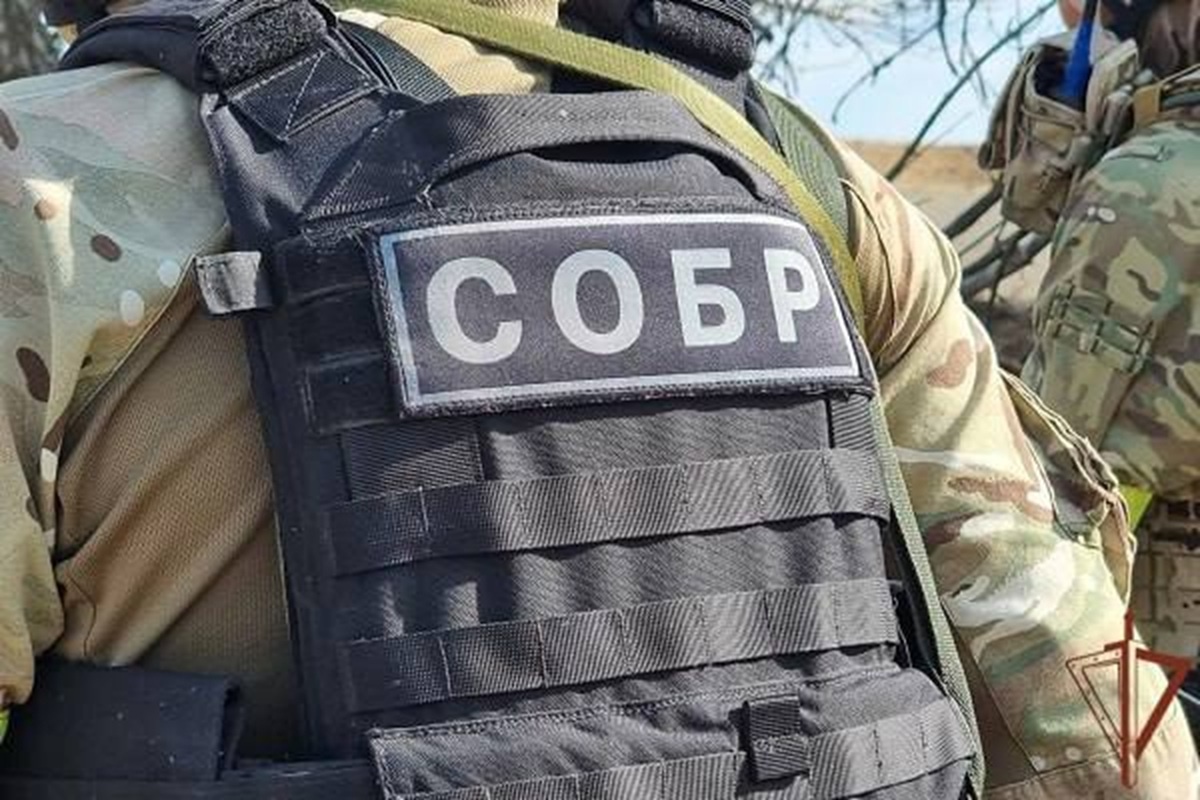    Фото: Росгвардия, источник t.me/RosgvardOfficial