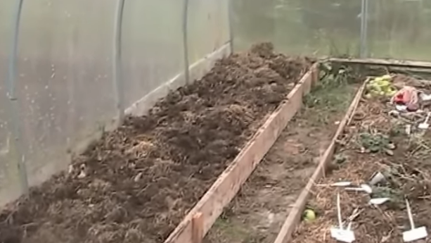 Середина апреля в поликарбонатной теплице — а рассада все еще дома