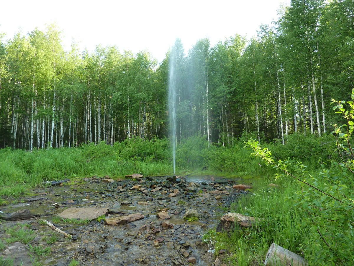 Артезианская скважина в лесу — такой источник может потребовать лицензию и уплату водного налога