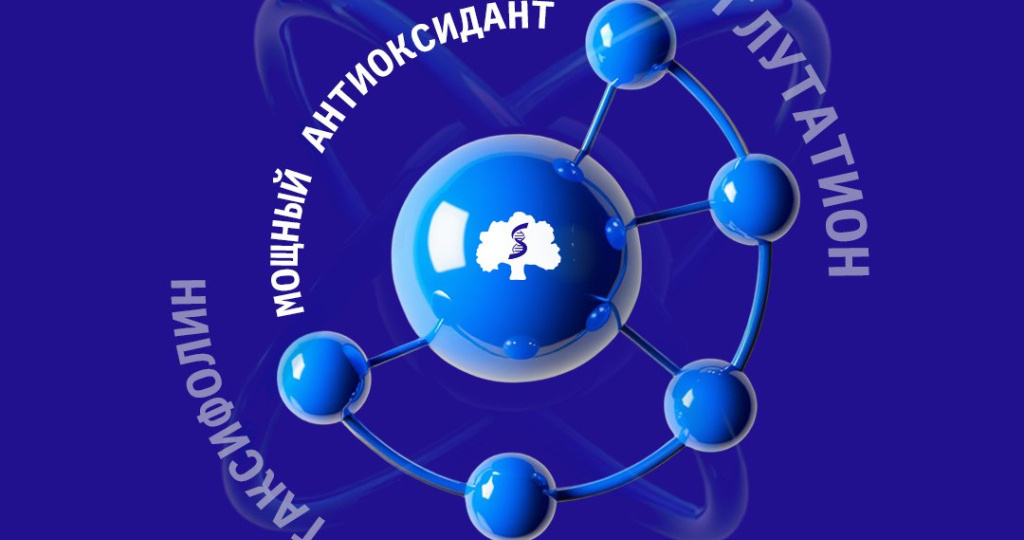 Сила дуэта: ученые Сеченовского Университета нашли ключ к усилению природных антиоксидантов