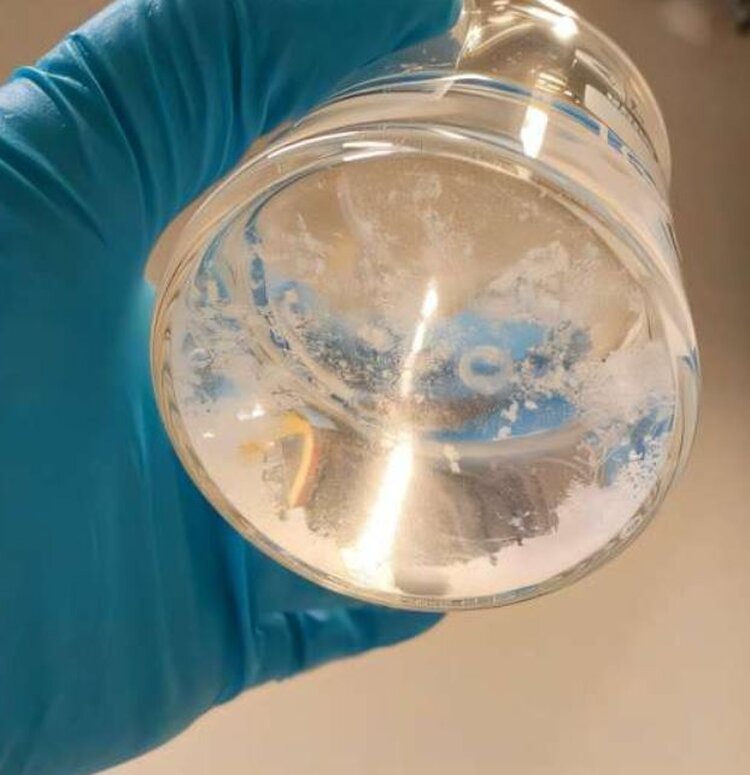 Фосфор, извлеченный из балтийских отложений. Авторы фото: Фэнъи Чжу, Фредерико Маркес Пенья и Зейнеп Четечиоглу.📷    Добыча фосфатов из Балтийского моря рассматривается для производства удобрений в ЕС
