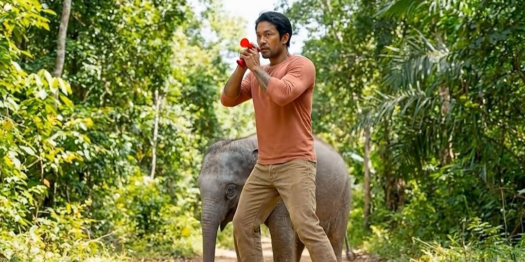 Человек отбил слоненка от тигра, а его собака стала малышу матерью