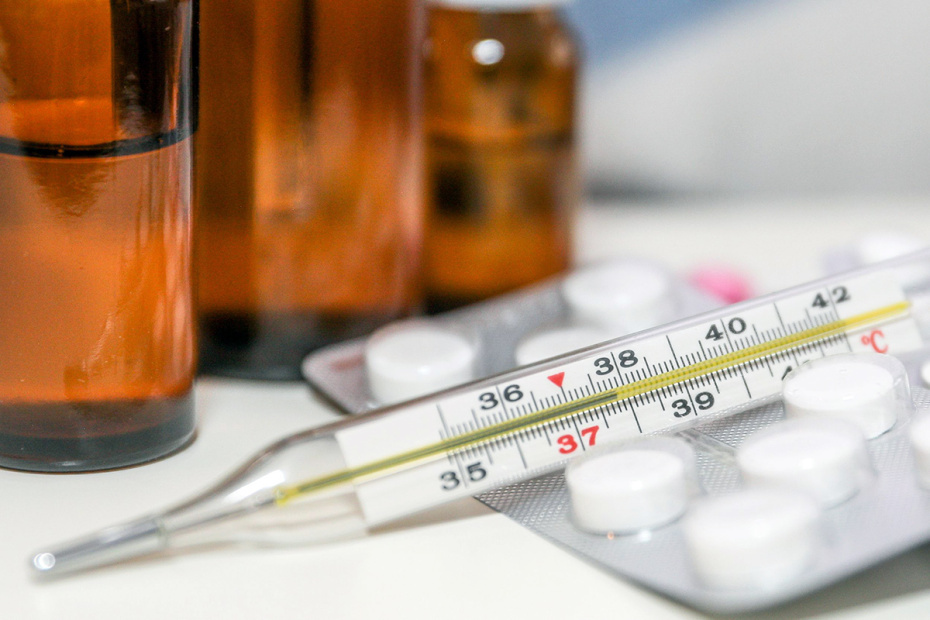    Сергей Булкин/NEWS.ru