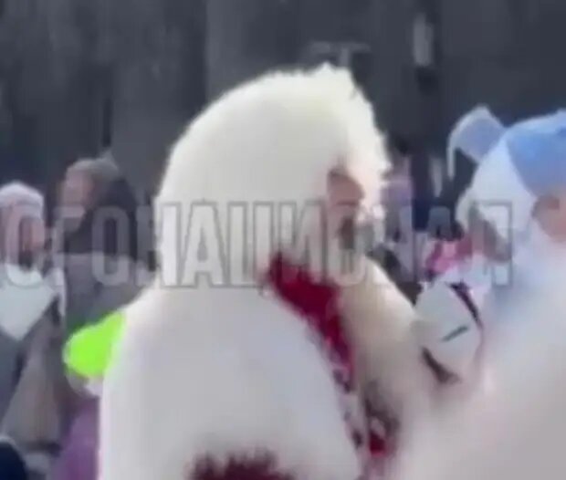 Фото: скрин видео тг-канал "Многонационал".