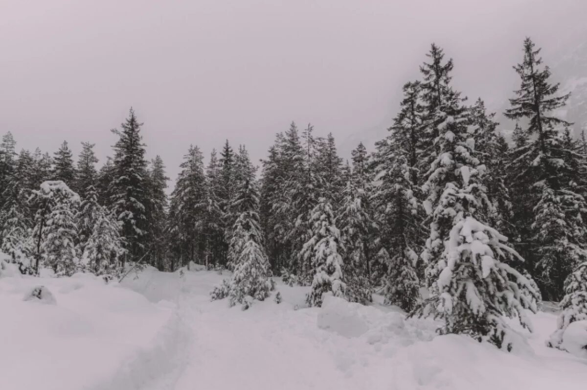    Бросил любимую после ссоры?