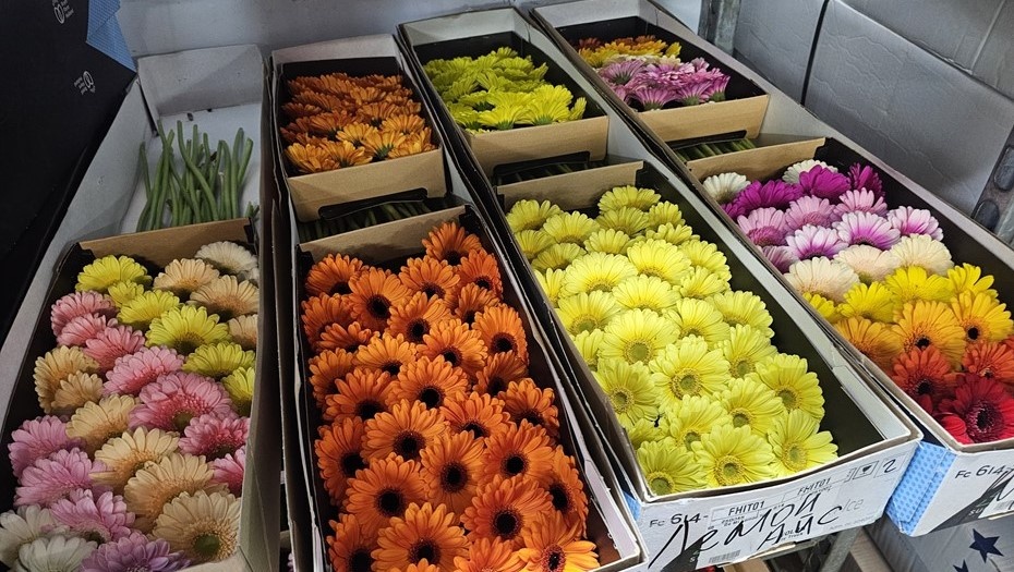    Автор фото: Михаил Кинеев