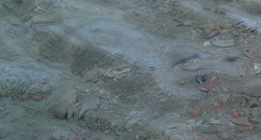    Фото из архива редакции