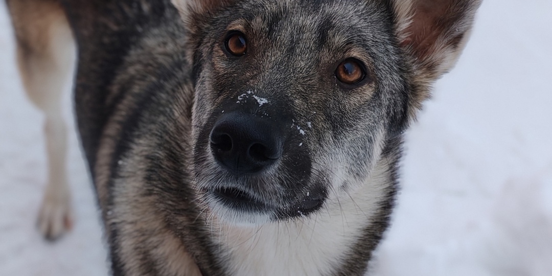 🎉 УРА! ИСТОРИЯ СО СЧАСТЛИВЫМ КОНЦОМ! 🎉