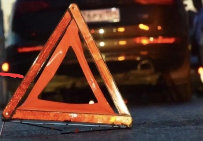    Из-за бешенства ввели карантин у крупного парка в Новосибирске