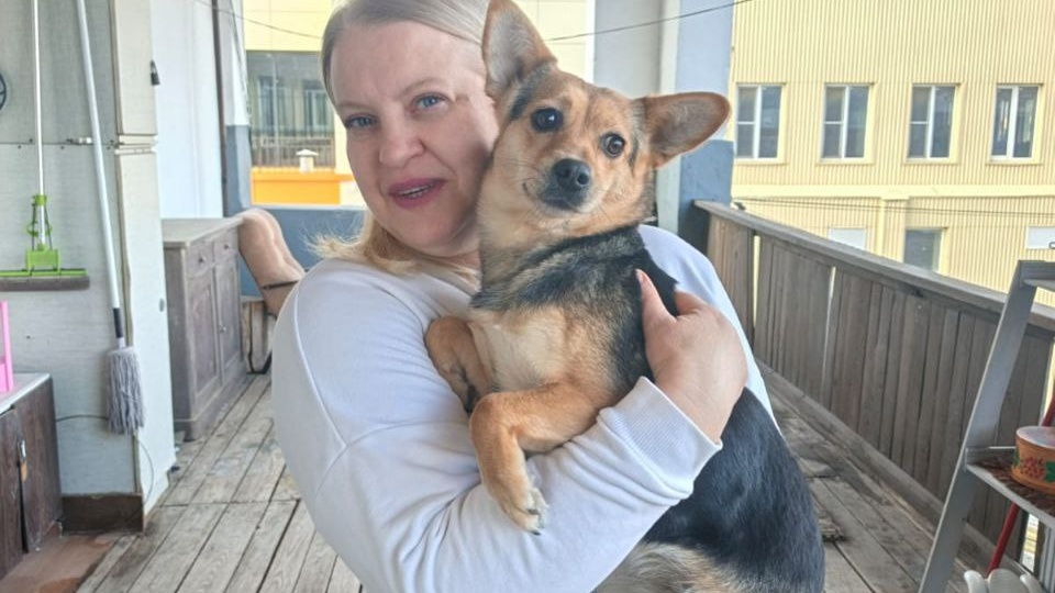 Маленькая собачка, 7 кг в добрые руки!