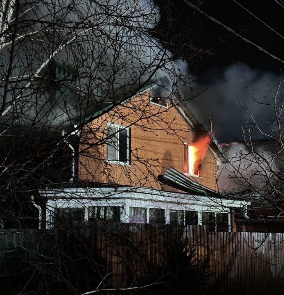 Собаки выбежать не успели