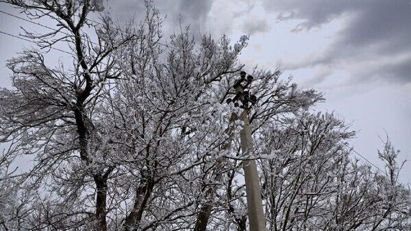    © Крымэнергоинформ