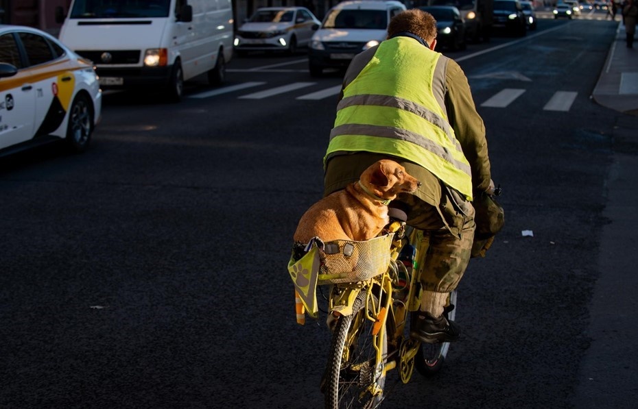    Автор фото: Сергей Ермохин / "ДП"