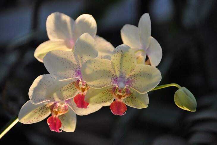 Предоставлено пресс-службой