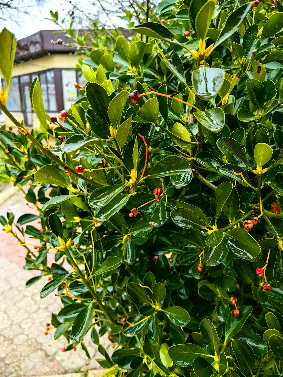 Сегодня. Фото автора канала