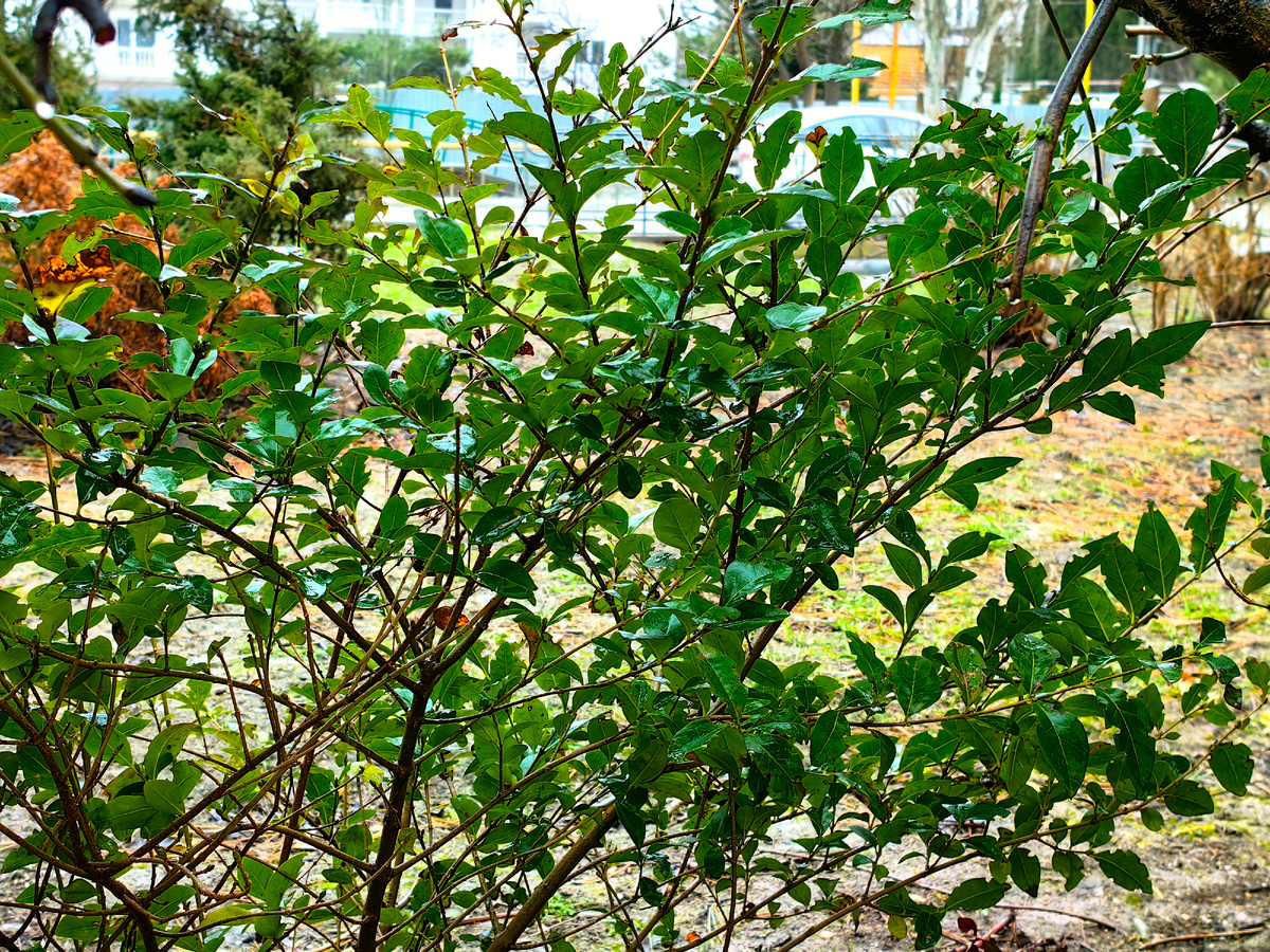 Сегодня. Фото автора канала