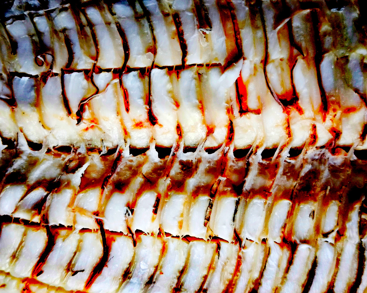 Фото автора. Др-р-рожь!