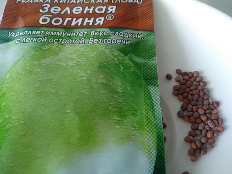 Семена репы, редьки, редиса сеют без замачивания