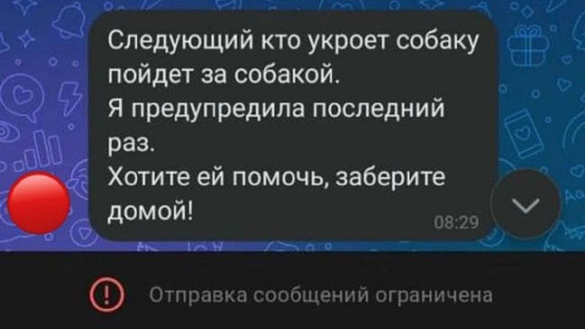    То самое сообщение, с которого все началось   ТГ-чат пиццерии