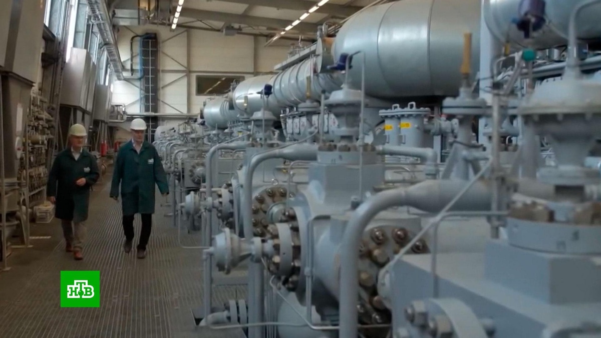    Танкеры замерзли, хранилища пустеют: Германия переживает жесткий газовый кризис