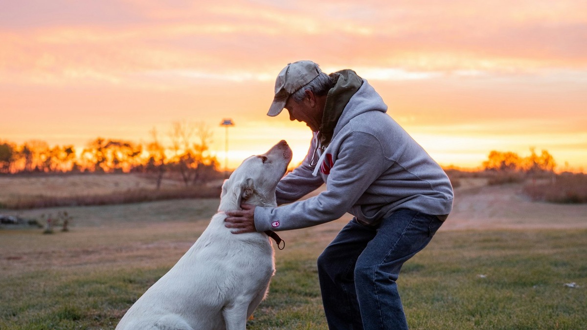    Фото несет иллюстративный характер
