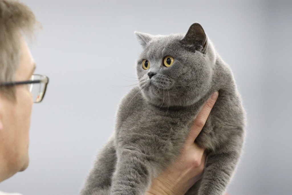    Фото © Анастасия Романова / Абзац