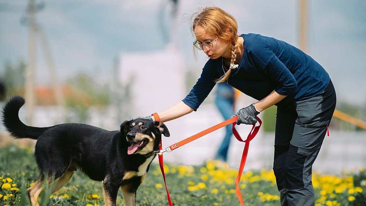    Источник: Пресс-служба Комитета общественных связей и молодежной политики города Москвы