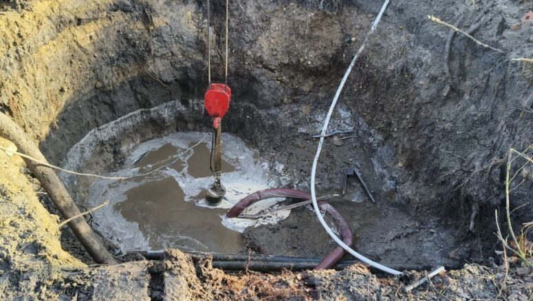    Фото: Светлана Лукошкина