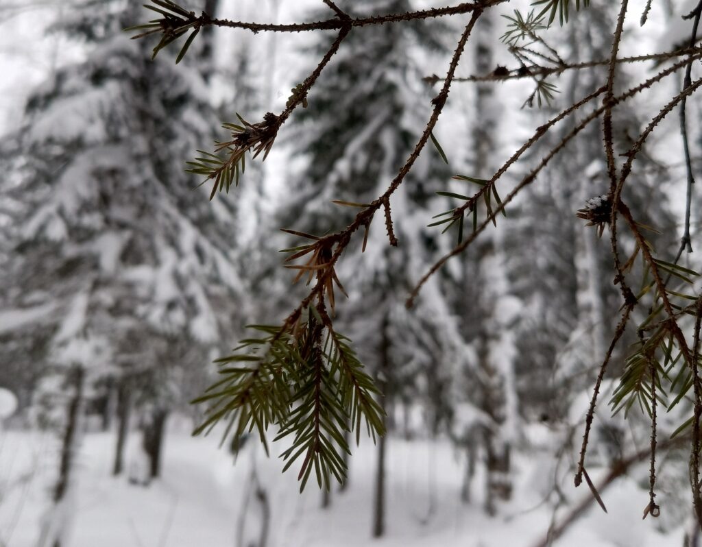    Фото: В курсе.ру