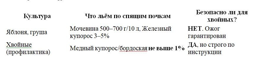 Таблица и фото Натальи Мироновой