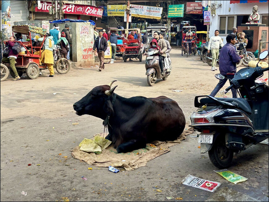 © Ирина Дементьева