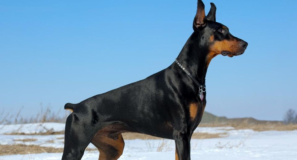    istockphoto.com/JamesBrey