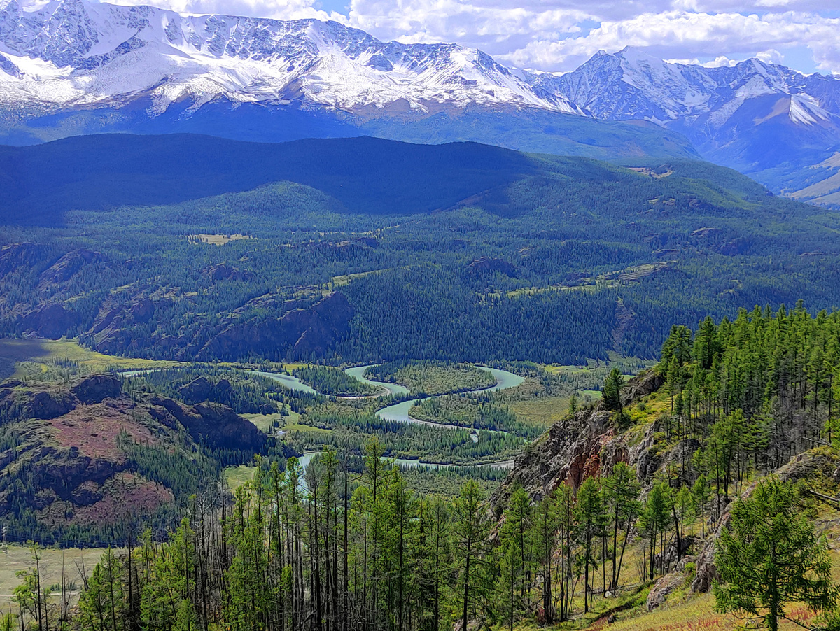 Яндекс картинки. Фото взято из открытого источника.
