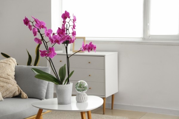 Источник фото shutterstock.com