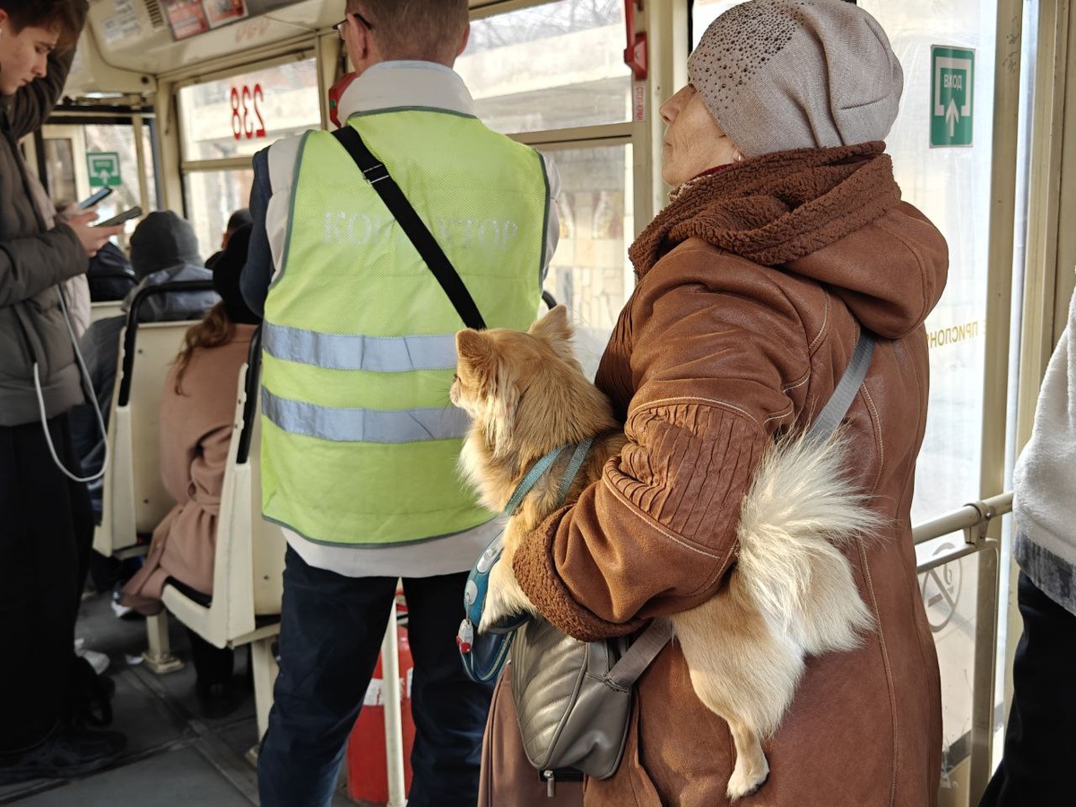    Фото: Юрий Серебренников/BFM Кубань