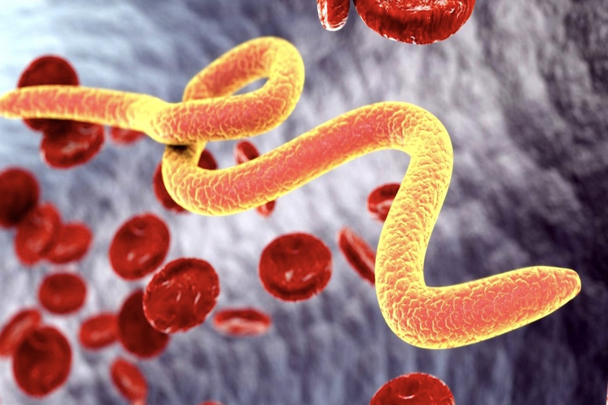 Автор: Сатирова Елена Фёдоровна — жизнерадостный онколог 