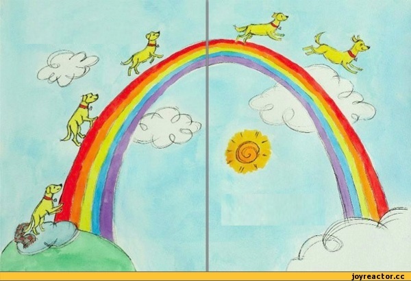 Рсунок из интернета