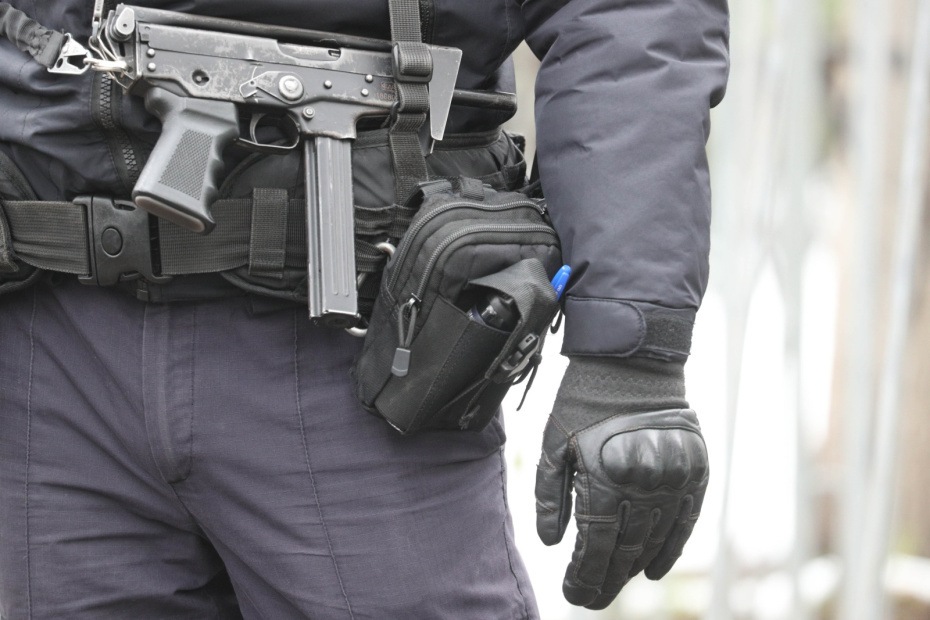    Алексей Белкин/NEWS.ru