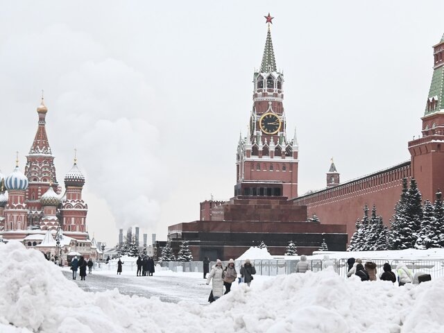    Фото: Москва 24/Никита Симонов