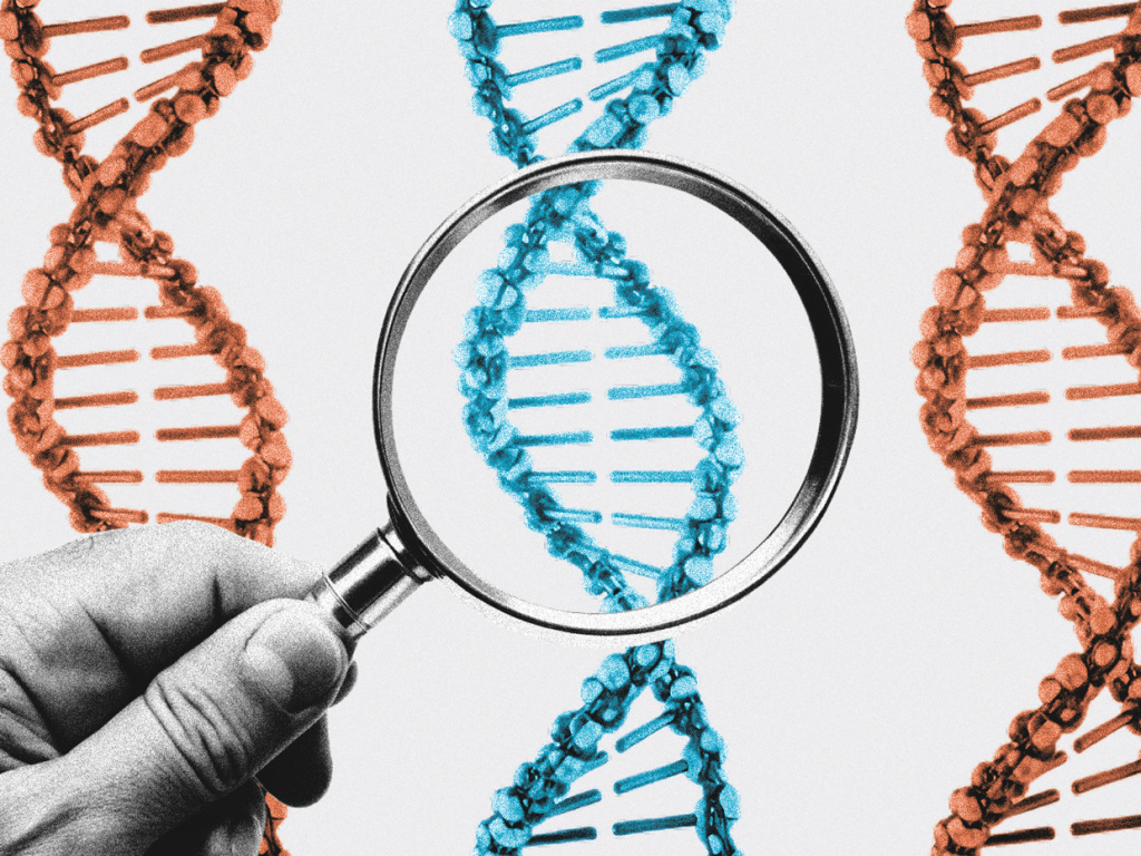 Коллаж: «Эксперт»