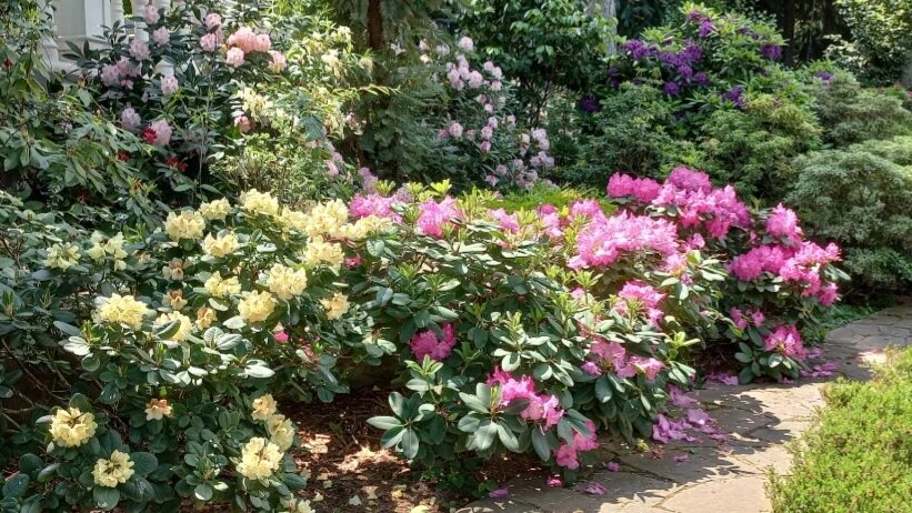 Сегодня все фото в статье будут из парка Айвазовского в Крыму. 