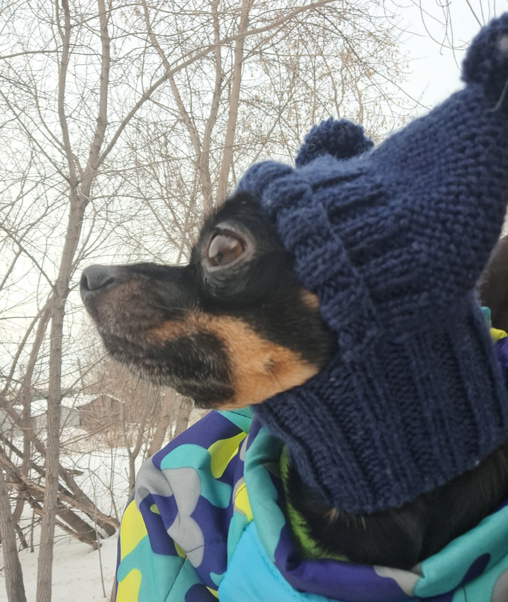 фото Наташино, но я забрал у неё сам лично, значит моё