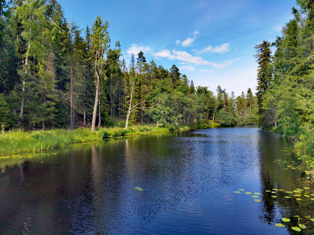 Старики-поморы рассказывают, что в те времена, когда горы Карелии были еще мягкими, как мох, над ними пролетала огромная Белая Птица, несшая в клюве искру первого огня. 
