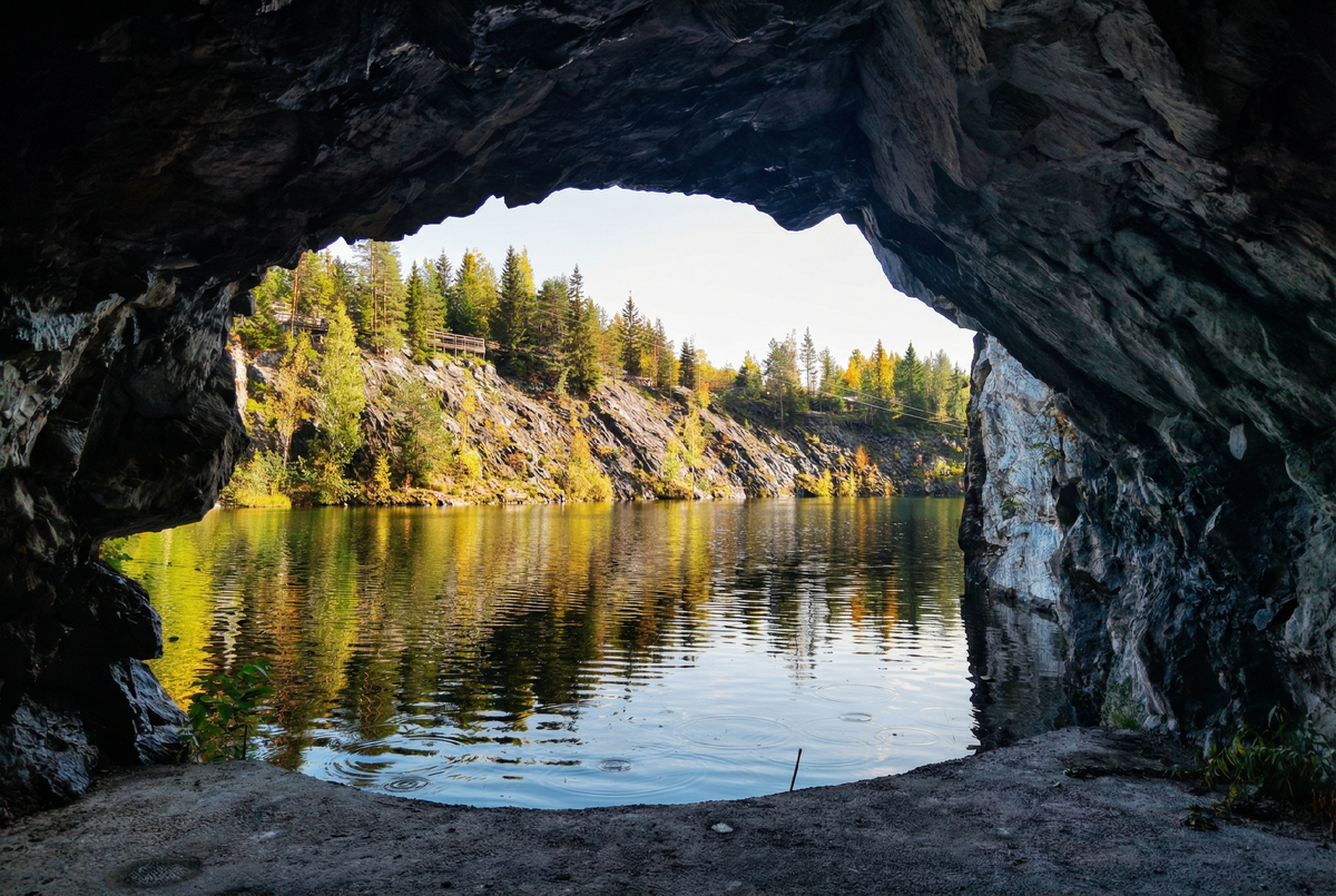 Природа Севера учит нас замечать детали — от полета чайки над холодным морем до маленького деревца, упрямо растущего прямо из отвесной скалы. 
