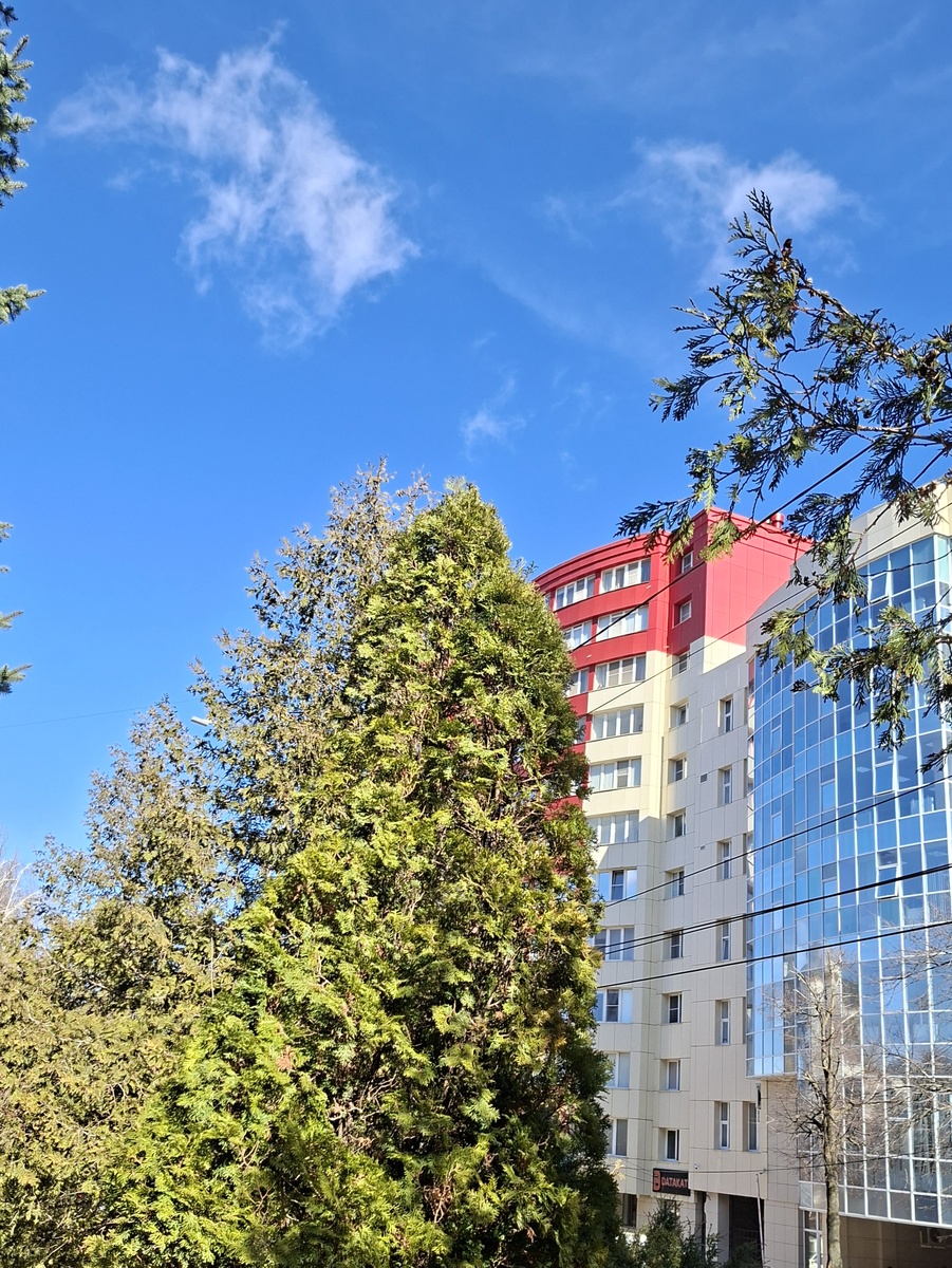 Фотография автора